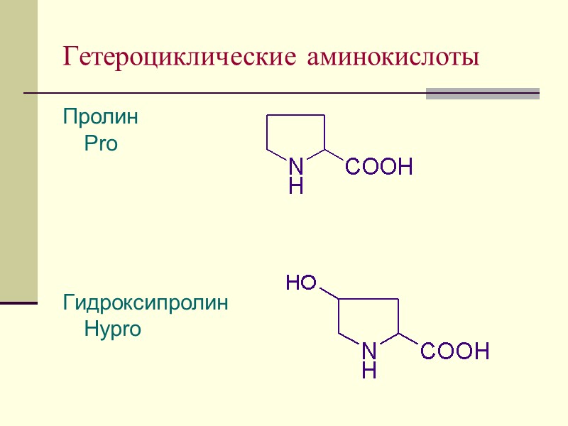 Гетероциклические аминокислоты  Пролин          